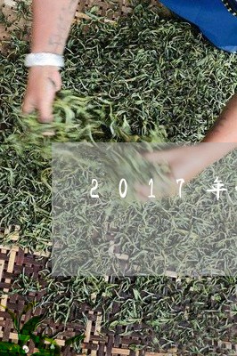 2017年的普洱茶差/2023100606340