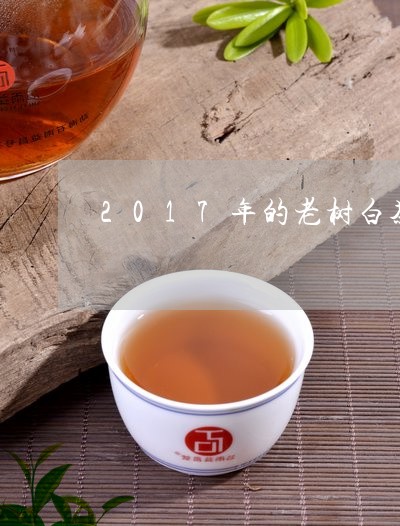 2017年的老树白茶/2023092729591