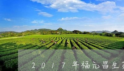 2017年福元昌生茶/2023071622692