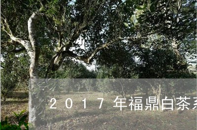 2017年福鼎白茶系/2023092089582