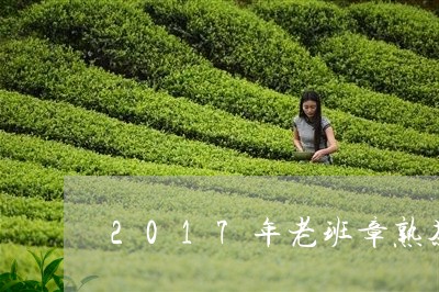 2017年老班章熟茶/2023092301726