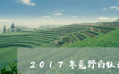 2017年荒野白牡丹/2023092135916