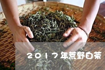 2017年荒野白茶/2023121339706