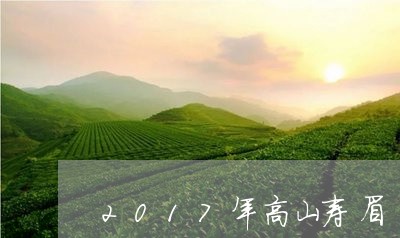 2017年高山寿眉/2023120575179