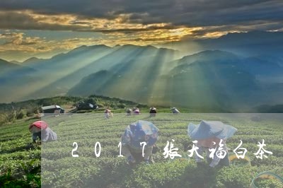 2017张天福白茶/2023071365249