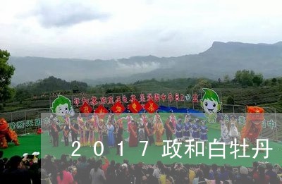 2017政和白牡丹/2023091409613