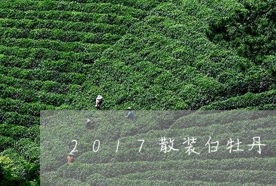 2017散装白牡丹/2023120560472