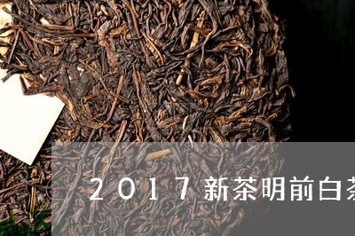 2017新茶明前白茶/2023092731702