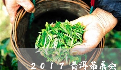 2017普洱茶展会/2023070928257