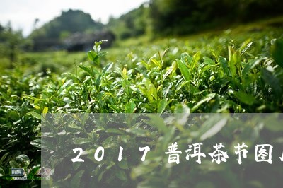 2017普洱茶节图片/2023062865369