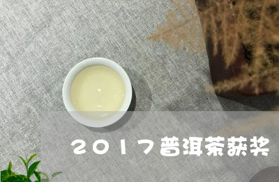 2017普洱茶获奖/2023091441725