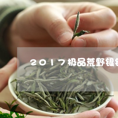 2017极品荒野银针/2023092507242