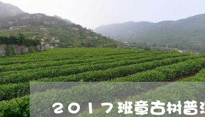 2017班章古树普洱茶价格/2023052994035