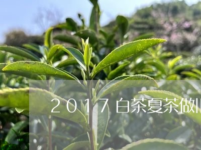 2017白茶夏茶做旧/2023092783928