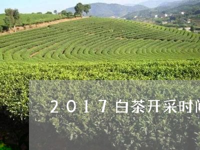 2017白茶开采时间/2023092793715