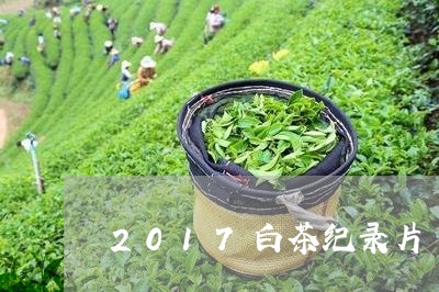 2017白茶纪录片/2023121350595