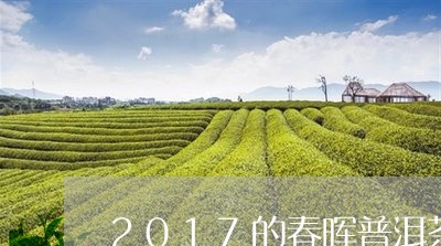 2017的春晖普洱茶/2023062874827