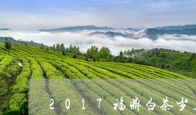 2017福鼎白茶岁月存香/2023062979492