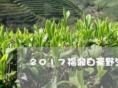 2017福鼎白茶野生贡眉/2023062765049