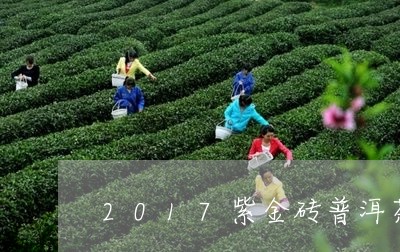 2017紫金砖普洱茶/2023100845837