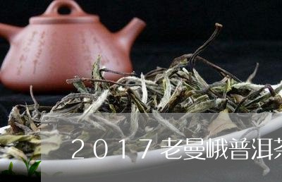 2017老曼峨普洱茶/2023100807262