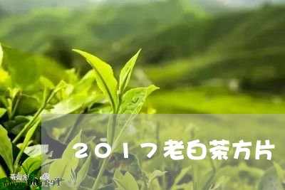 2017老白茶方片/2023121380695