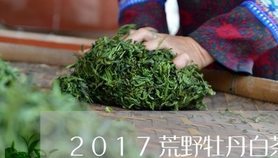 2017荒野牡丹白茶赋/2023082527271