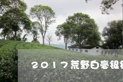 2017荒野白毫银针/2023092160614