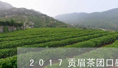 2017贡眉茶团口感/2023120803936