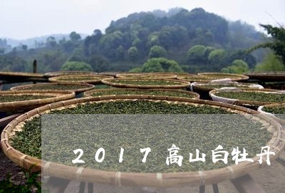 2017高山白牡丹/2023120585728