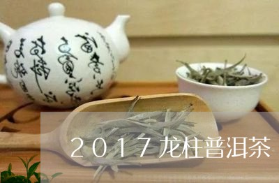 2017龙柱普洱茶/2023112742405