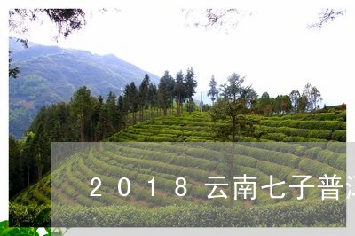 2018云南七子普洱茶陈茶/2023082683815