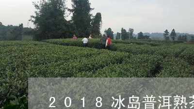 2018冰岛普洱熟茶/2023061422694