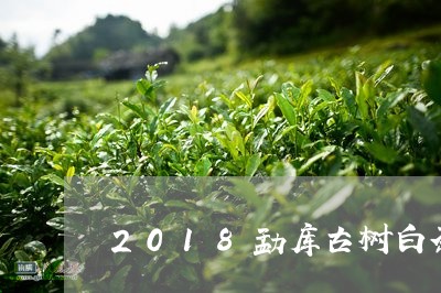 2018勐库古树白茶/2023092781738