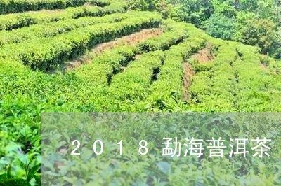 2018勐海普洱茶/2023070942694