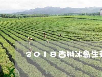 2018古树冰岛生茶/2023092345027