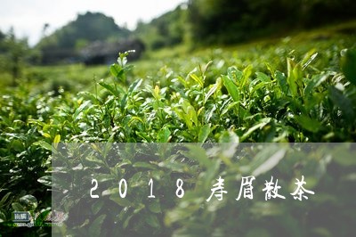 2018寿眉散茶/2023090817162