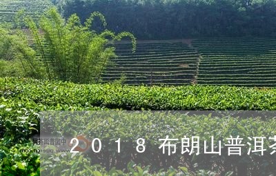 2018布朗山普洱茶/2023062892826