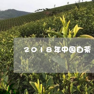 2018年中国白茶/2023071379705