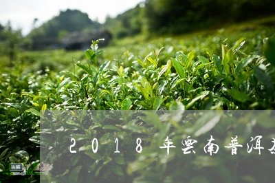 2018年云南普洱茶产量是多少/2023060283605