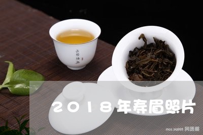 2018年寿眉照片/2023120489482