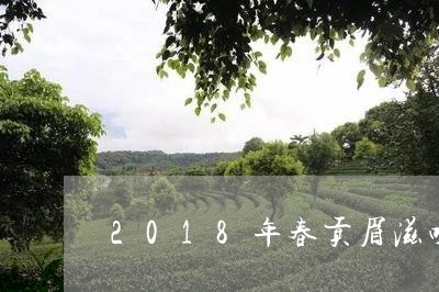 2018年春贡眉滋味/2023092114269