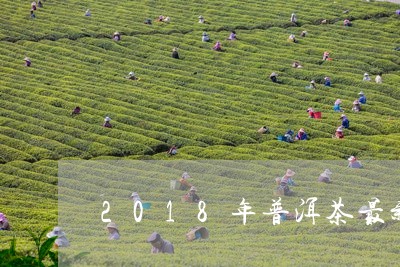 2018年普洱茶最新价格表/2023052851825