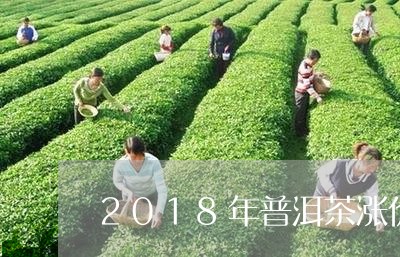 2018年普洱茶涨价/2023062717572