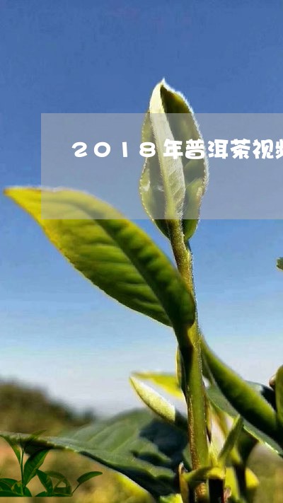 2018年普洱茶视频/2023080314726