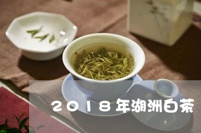 2018年湖洲白茶/2023121523827