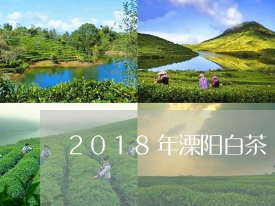 2018年溧阳白茶/2023121559482