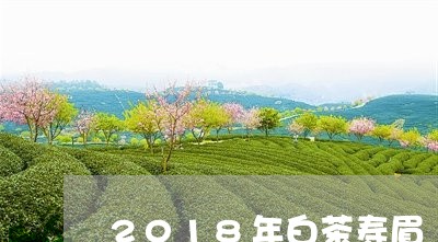 2018年白茶寿眉/2023120490605