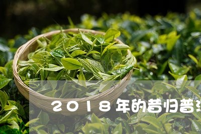 2018年的昔归普洱茶/2023050664828