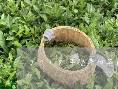 2018年福鼎白茶新茶/2023092164047